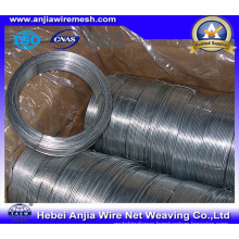 Electro Hot-Dipped Galvanized Wire for Binding with (CE and SGS)